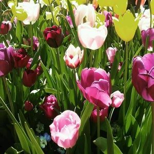 Meet your Posher, Cathy